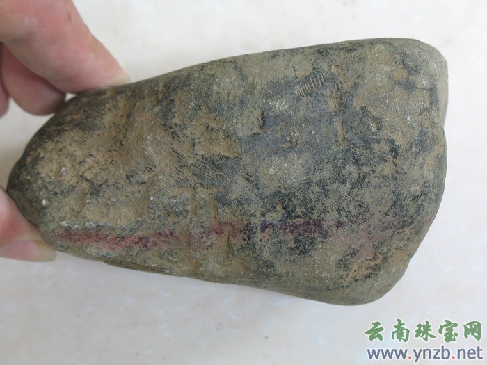 翡翠毛料, 莫湾, 赌石 -- 点击看大图