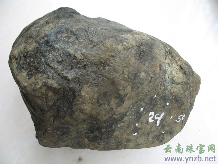 莫湾翡翠毛料, 缅甸莫湾场口, 赌石  - 点击看大图