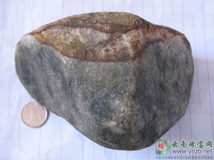达摩砍老场口翡翠毛料