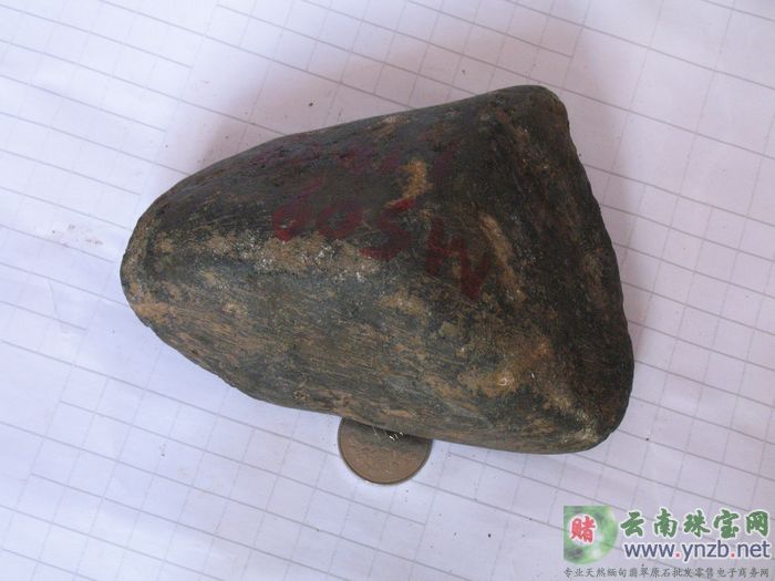 翡翠赌石, MWJ509赌石 -- 点击查看大图