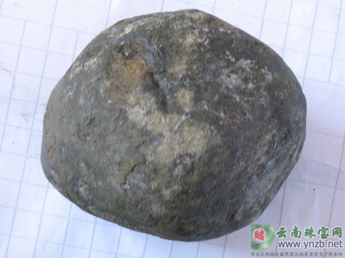 翡翠赌石, MWJ528赌石 -- 点击查看大图