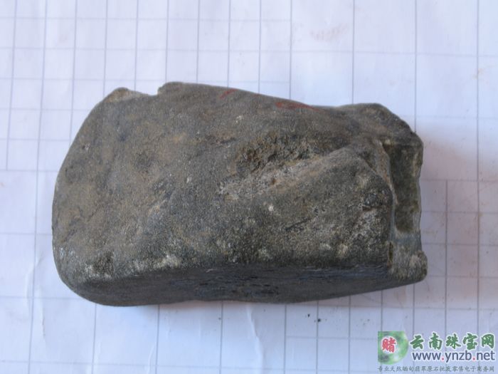 翡翠, 赌石, 莫湾基, MWJ531翡翠原石 -- 点击查看大图