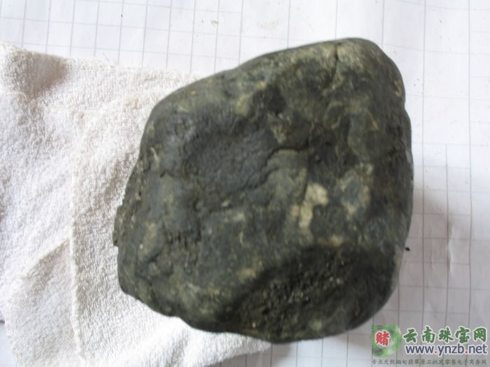 翡翠, 赌石, 莫湾基, MWJ556翡翠原石 -- 点击查看大图