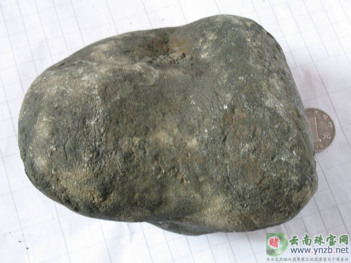 赌石, 老场口赌石, 莫湾基场口赌石 MWJ557 -- 点击查看大图