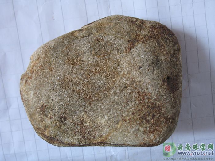 莫湾基翡翠毛料 MWJ559 -- 点击查看大图