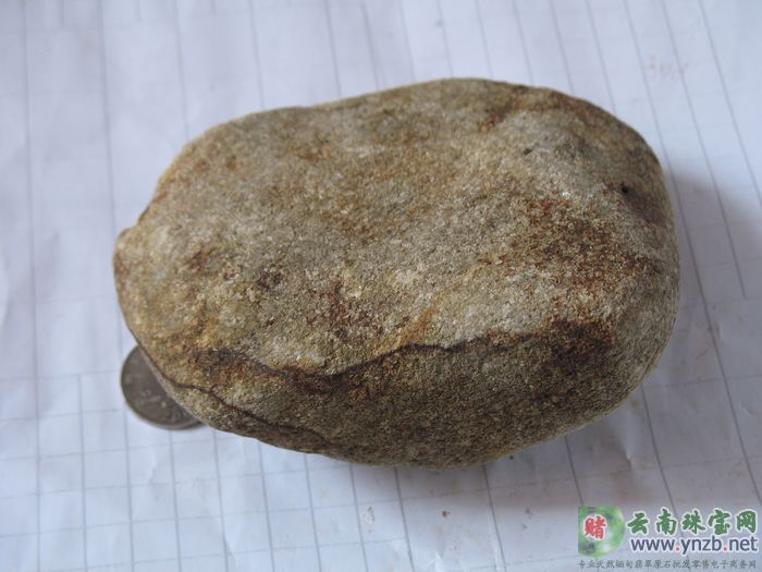 赌石, 老场口赌石, 莫湾基场口赌石 MWJ559 -- 点击查看大图