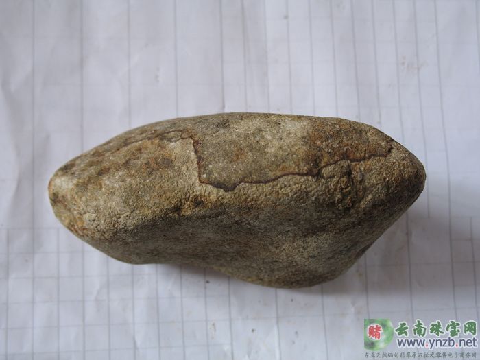 云南赌石, MWJ559翡翠原石 -- 点击查看大图