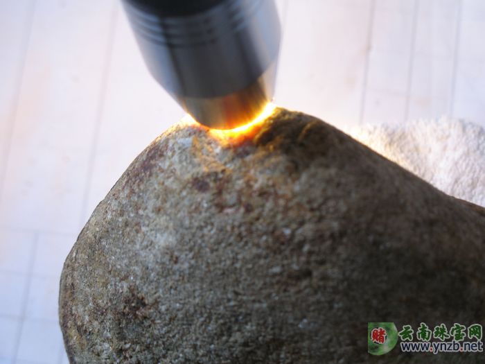 翡翠, 赌石, 莫湾基, MWJ559翡翠原石 -- 点击查看大图