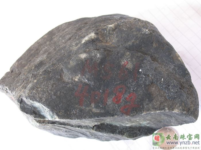 赌石, 黑乌沙翡翠原石 MWJ561 正面图片 -- 点击查看大图