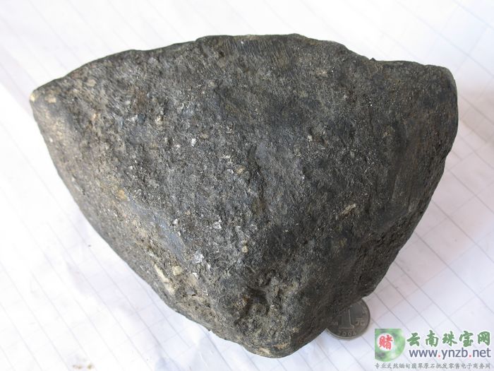 赌石, 老场口赌石, 莫湾基场口赌石 MWJ561 -- 点击查看大图