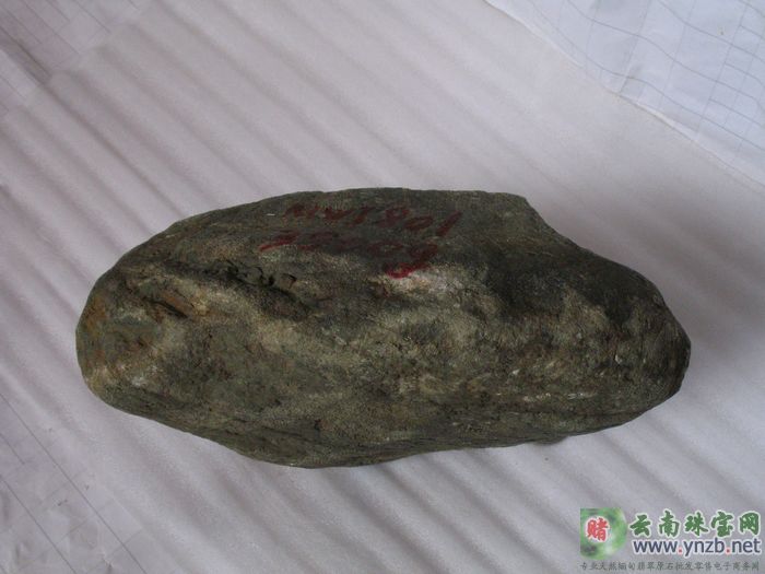 翡翠, 赌石, 莫湾基, MWJ801翡翠原石 -- 点击查看大图