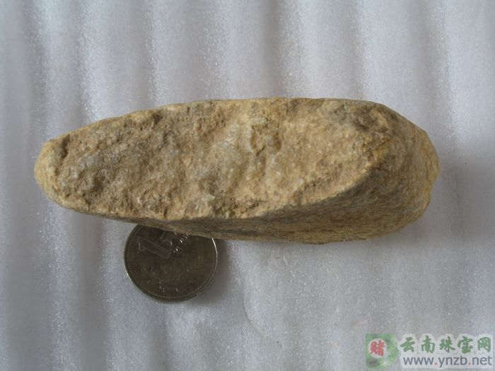 赌石, 老场口赌石, 达摩坎/大马坎场口赌石 D607 -- 点击查看大图