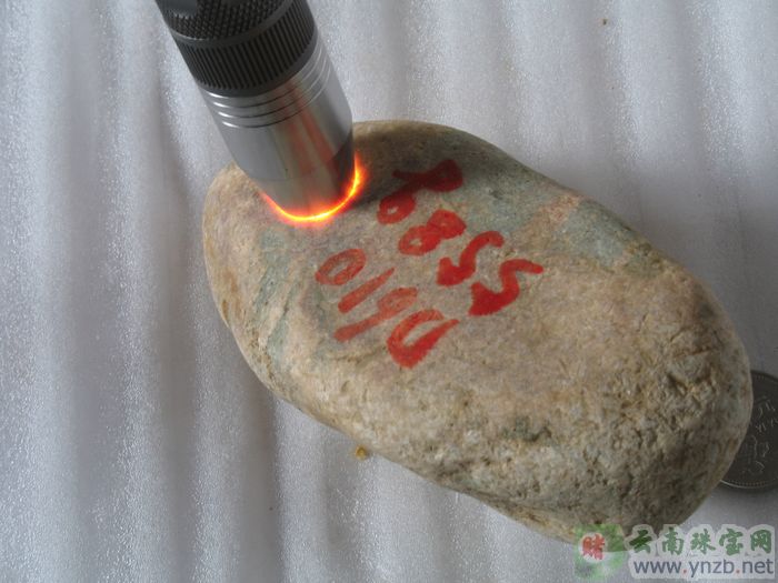 翡翠, 赌石, 达摩坎/大马坎, D610翡翠原石 -- 点击查看大图