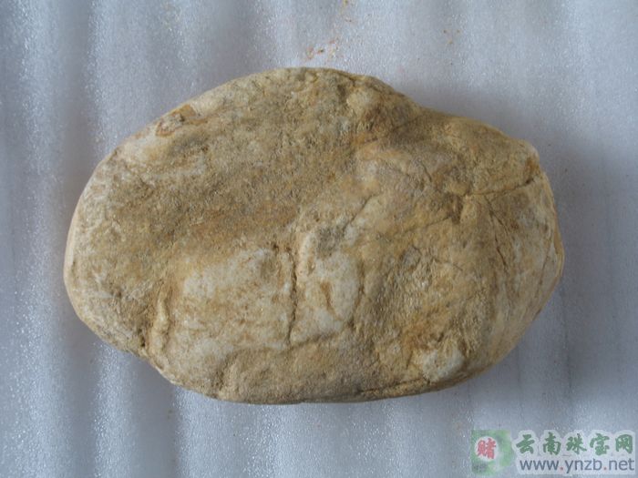 缅甸翡翠原石 赌石d614
