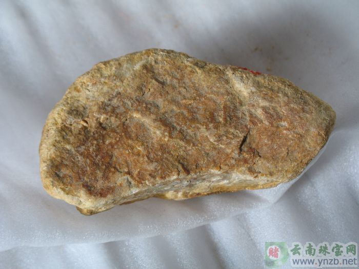 达摩坎/大马坎翡翠毛料 D617 -- 点击查看大图