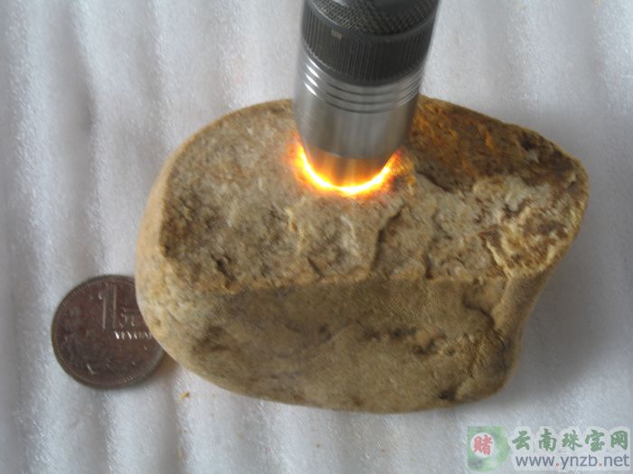 翡翠赌石, D623赌石 -- 点击查看大图