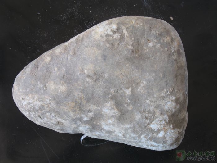 赌石, 老场口赌石, 达摩坎/大马坎场口赌石 D701 -- 点击查看大图