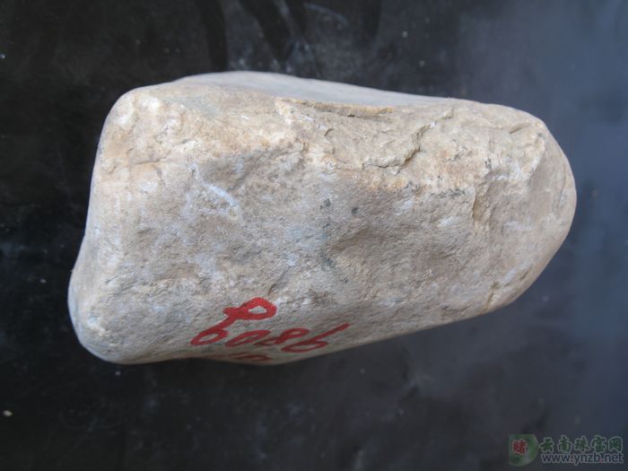 翡翠, 赌石, 达摩坎/大马坎, D708翡翠原石 -- 点击查看大图