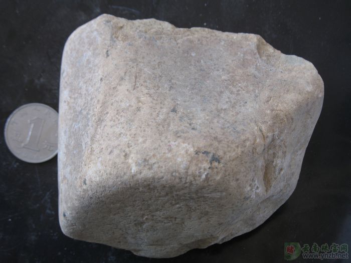 翡翠, 赌石, 达摩坎/大马坎, D708翡翠原石 -- 点击查看大图