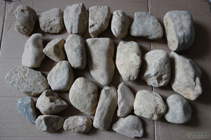 老坑赌石批发, 赌石批发， 大马坎场口赌石 D1003 正面图片 -- 点击查看大图