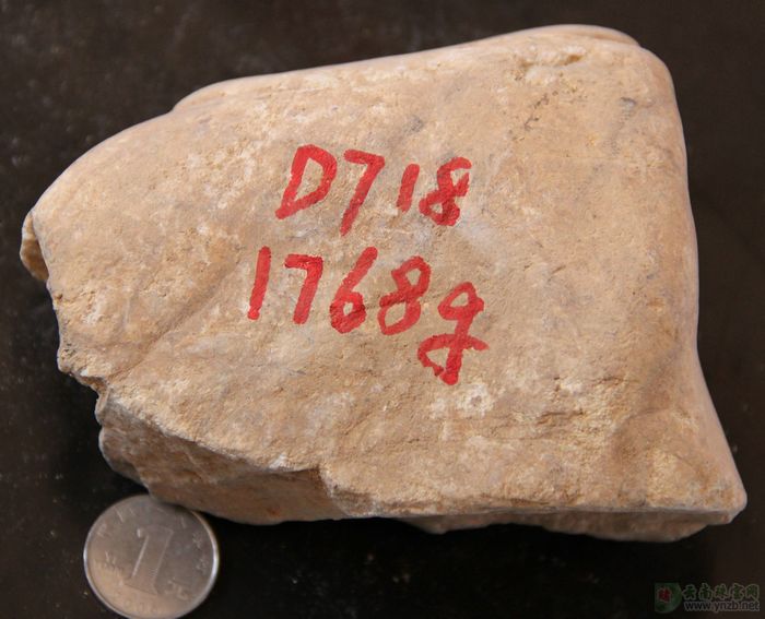 赌石, 翡翠原石图片， 大马坎场口赌石 D718 正面图片 -- 点击查看大图