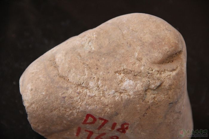 翡翠赌石, D718赌石 -- 点击查看大图