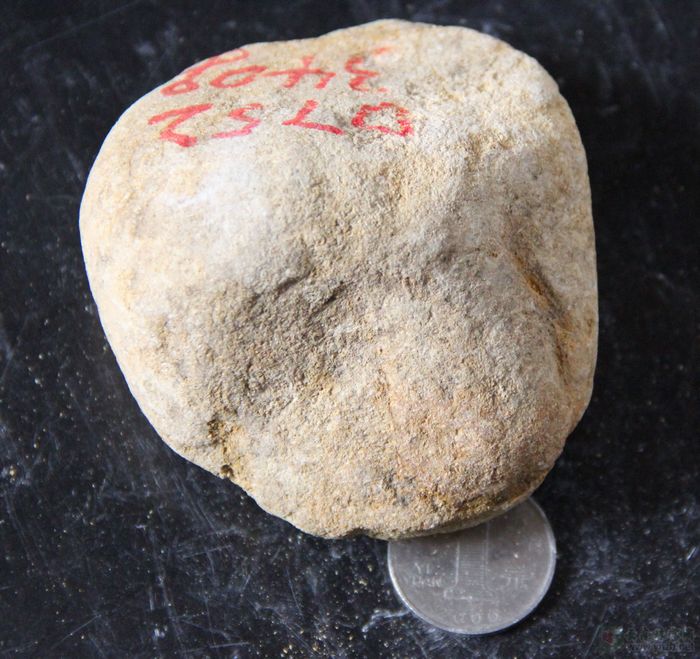 
赌石图片, 大马坎场口赌石 D752 -- 点击查看大图