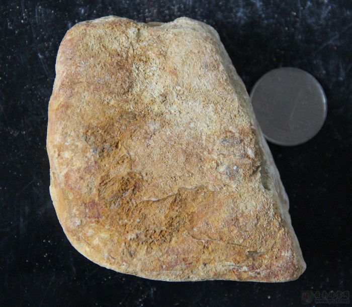 
达摩坎翡翠毛料 D753 -- 点击查看大图