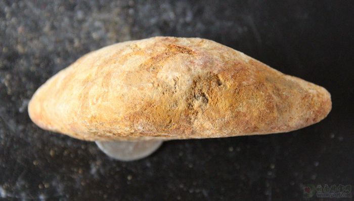 
云南赌石, D753翡翠原石 -- 点击查看大图