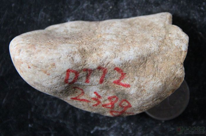 
赌石图片, 大马坎场口赌石 D772 -- 点击查看大图