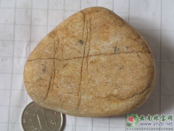 达摩砍翡翠毛料、大马坎赌石 DMK527 -- 点击查看大图