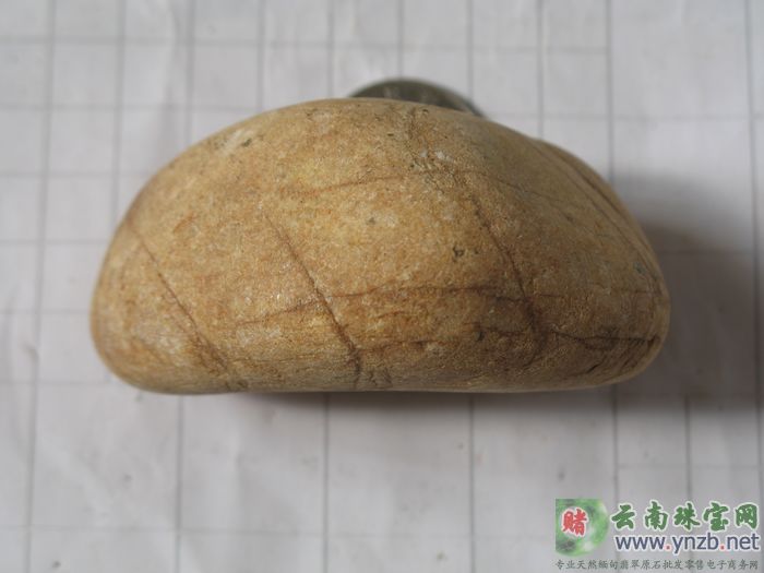 赌石, 老场口赌石, 达摩砍场口赌石 DMK527 -- 点击查看大图