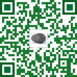 扫描购买商品 - 翡翠原石|缅甸翡翠毛料 MWJ537
