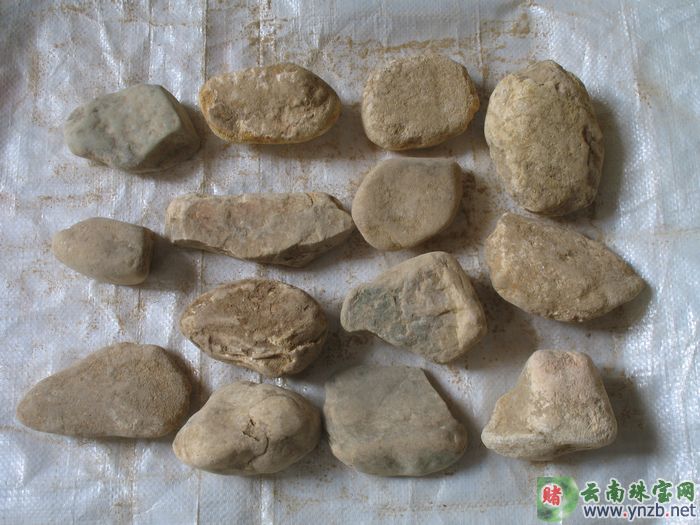 达摩坎特价毛料,大马坎水石批发 DT302 -- 点击查看大图