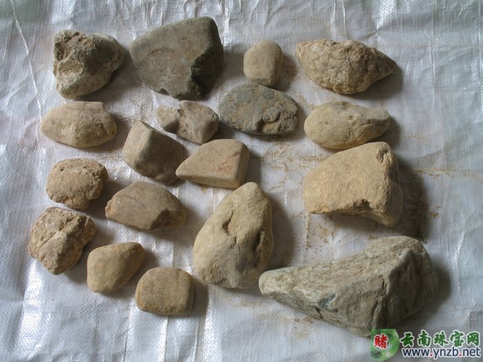达摩坎特价毛料,大马坎水石批发 DT501 -- 点击查看大图