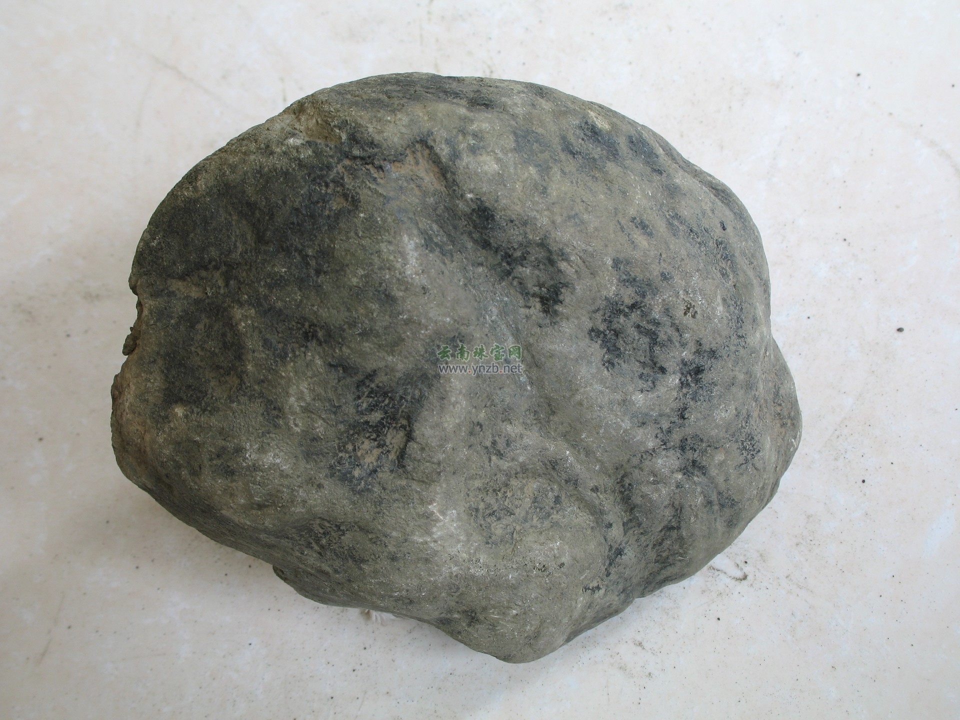 赌石毛料 莫湾老场口 翡翠原石