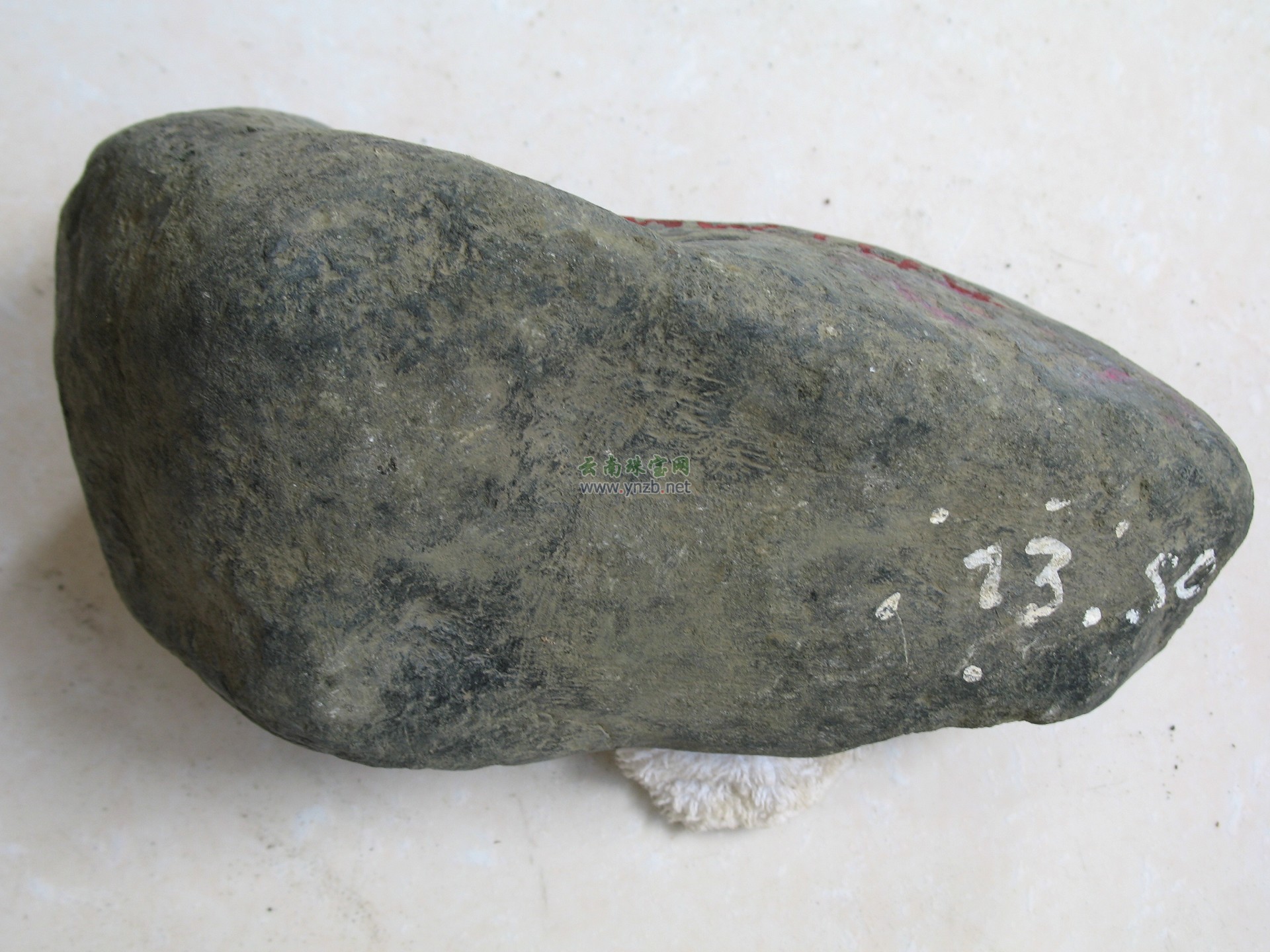 赌石毛料 莫湾老场口 翡翠原石